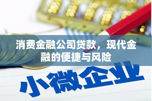 从江消费金融公司贷款，现代金融的便捷与风险