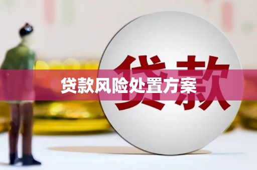 从江贷款风险处置方案
