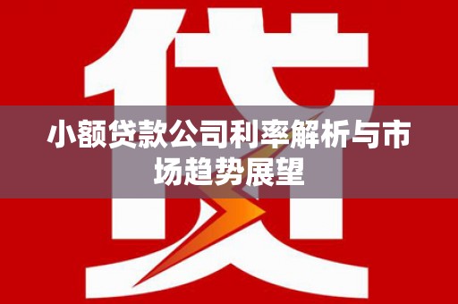 从江小额贷款公司利率解析与市场趋势展望
