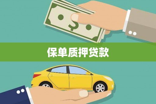 从江保单质押贷款