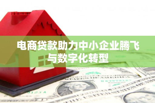 从江电商贷款助力中小企业腾飞与数字化转型