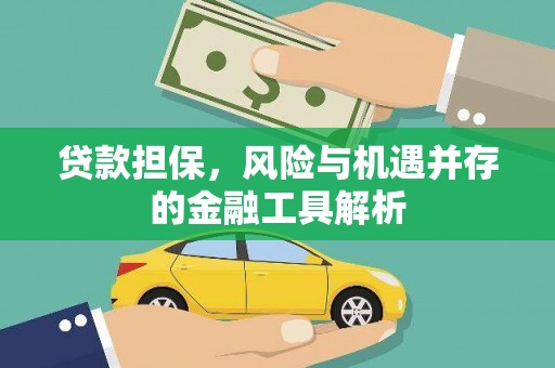 从江贷款担保，风险与机遇并存的金融工具解析