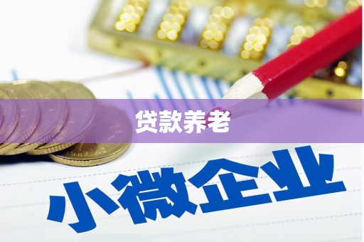 从江贷款养老