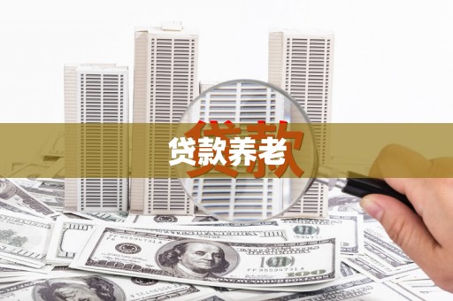 从江贷款养老