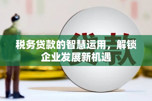 从江税务贷款的智慧运用，解锁企业发展新机遇
