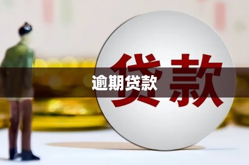 从江逾期贷款