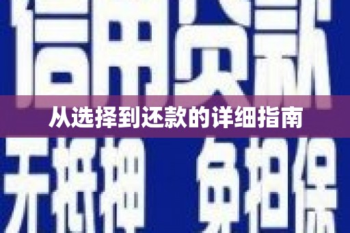从江从选择到还款的详细指南