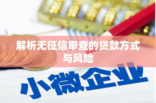 从江解析无征信审查的贷款方式与风险