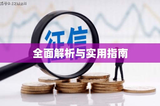 从江全面解析与实用指南