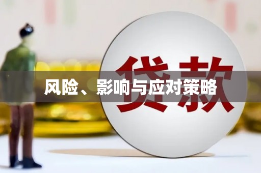从江风险、影响与应对策略