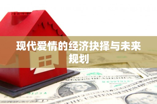 从江现代爱情的经济抉择与未来规划