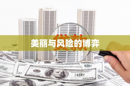 从江美丽与风险的博弈