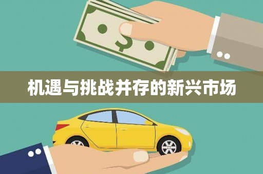 从江机遇与挑战并存的新兴市场