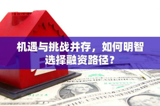 从江机遇与挑战并存，如何明智选择融资路径？