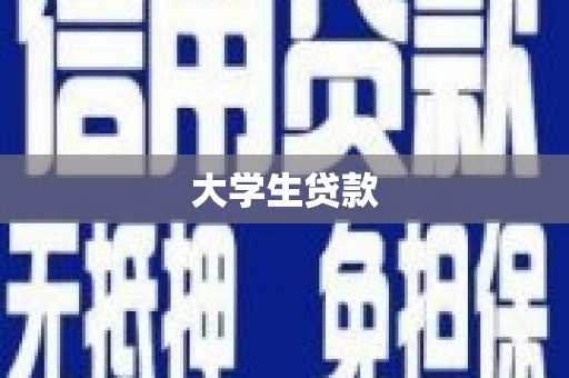 从江大学生贷款