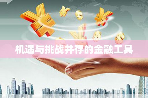 从江机遇与挑战并存的金融工具