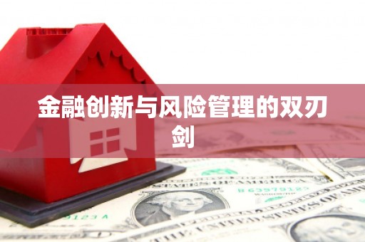 从江金融创新与风险管理的双刃剑