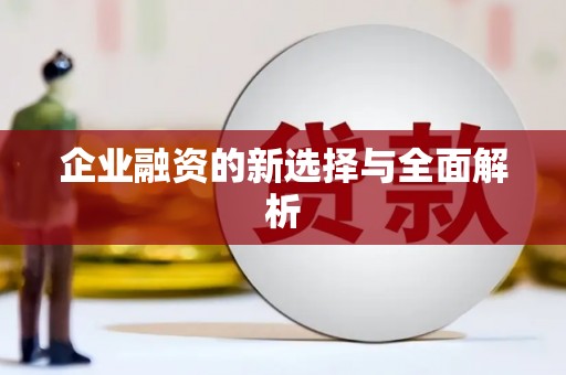 从江企业融资的新选择与全面解析