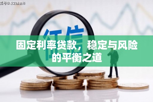 从江固定利率贷款，稳定与风险的平衡之道