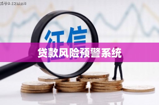 从江贷款风险预警系统