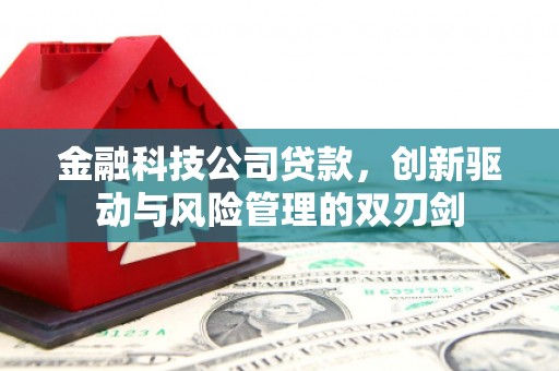 从江金融科技公司贷款，创新驱动与风险管理的双刃剑