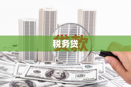 从江税务贷